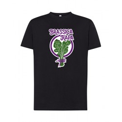 Brassica Rapa