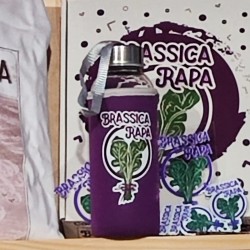 Botella Brassica Rapa