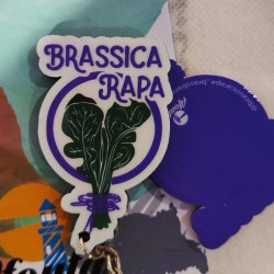 Chaveiro Brassica Rapa